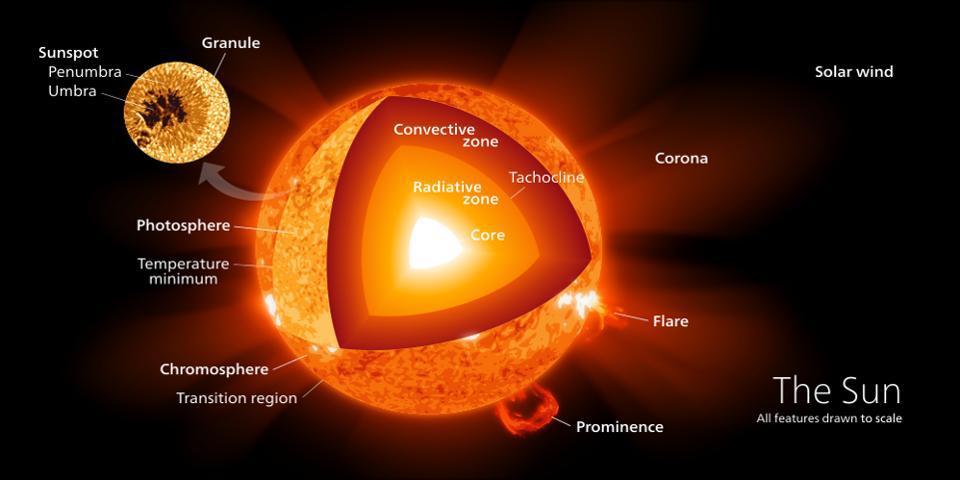 cut off sun