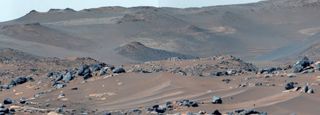 a reddish-brown landscape of sand and rocks