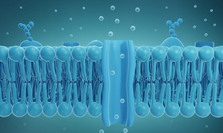 Ion channel