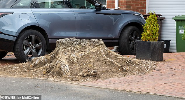 A small portion of the trunk is still stuck in the Palmers' driveway after they had it cut down.