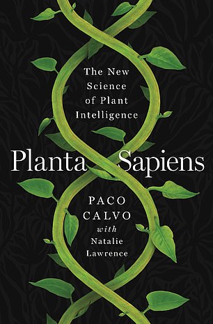 Paco Calvo argues that plants have consciousness, but in a completely different way