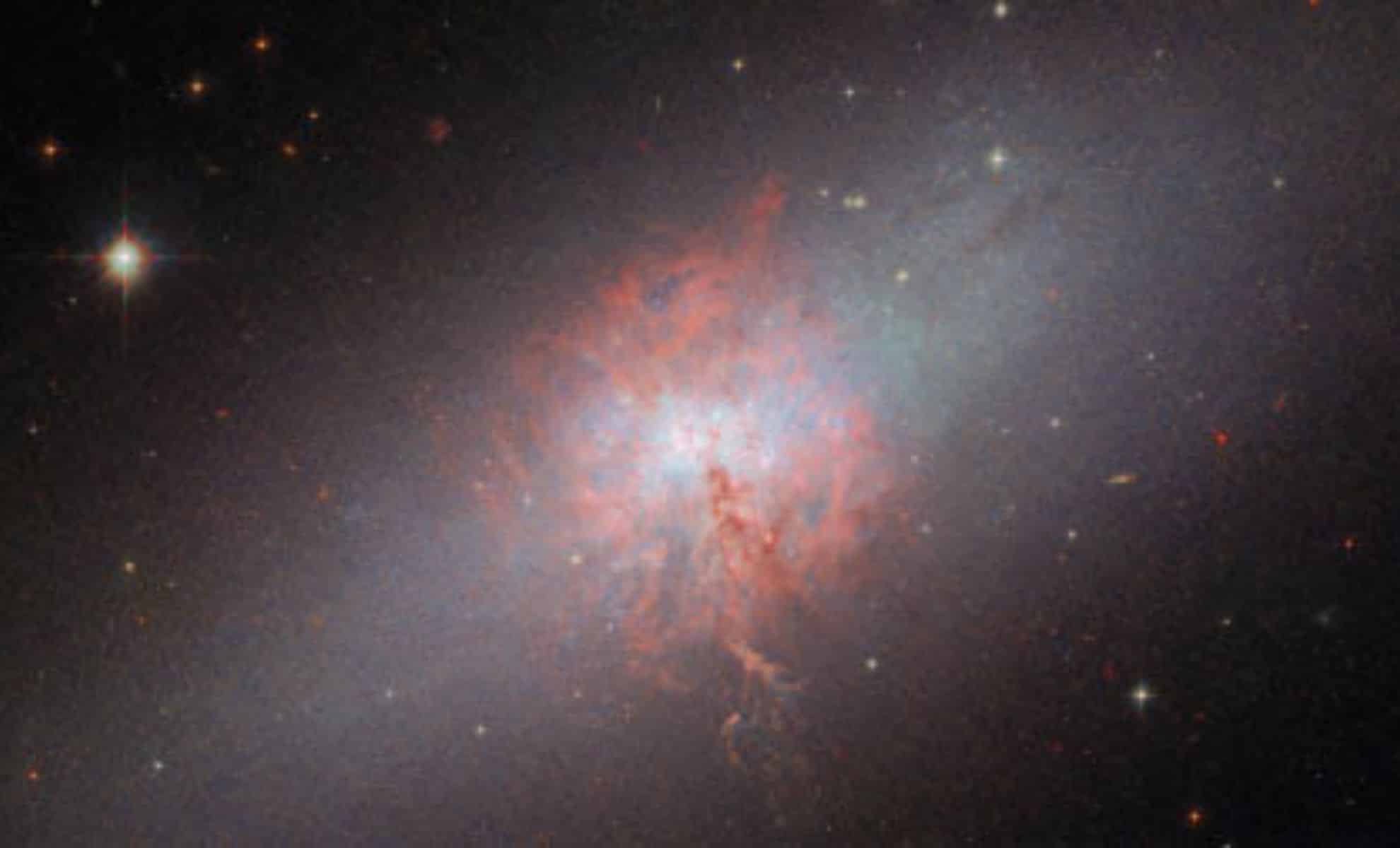 Hubble Space Telescope provides new insights into the starburst galaxy NGC 5253