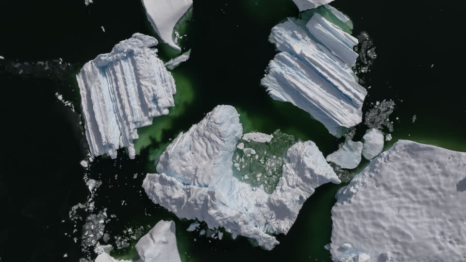 Icebergs in Antarctica on February 8, 2024. Numerous research papers have examined the vulnerability of this vast continent to the effects of the climate crisis. – Sebnem Coskun/Anadolu/Getty Images